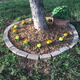 yard planter